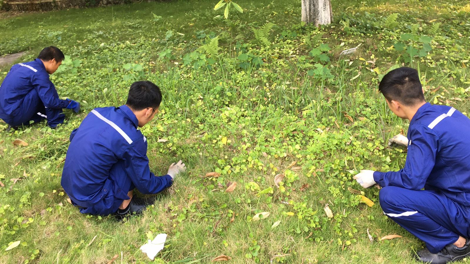 瑞泰風工廠降溫設備案例圖